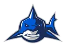 SLBA-Shark_Sports-Colors_larger-font-copy1-copy-129w.PNG