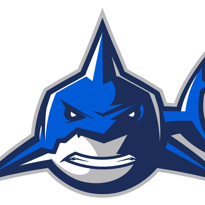 Shark-Logo-1200x800